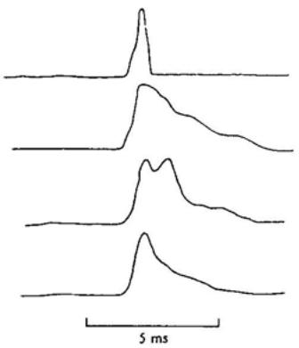 Pulse broadening caused by interstellar scattering